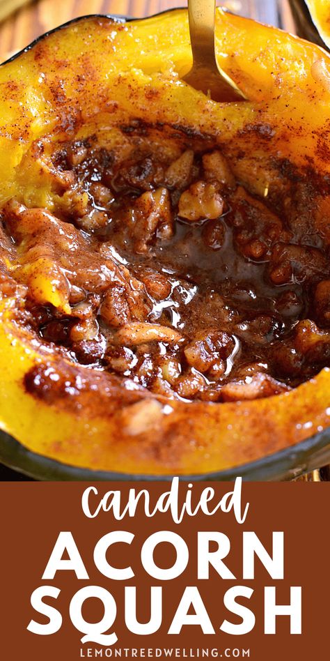 Candied Acorn Squash - baked with brown sugar, butter, cinnamon, nutmeg, and walnuts. A simple, flavorful side dish that's perfect for the holidays! Martha Stewart Acorn Squash, How To Use Acorn Squash, Candied Acorn Squash, Twice Baked Acorn Squash, Oven Baked Acorn Squash Brown Sugar, Acorn Squash Recipe Sweet, Acorn Squash Brown Sugar And Butter, Candied Squash Recipe, How To Bake Acorn Squash