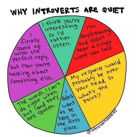 Why So Quiet? Introvert Personality, Introvert Problems, Introverts Unite, Introvert Quotes, Introvert Humor, Infj Personality, Myers Briggs, Intp, Intj