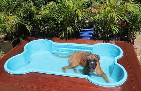 Dog Pools - Quality Bone-Shaped Pools | Australian Dog Lover Bone Shaped Dog Pool, Dog Pool Diy, Dog Pools, Luxury Dog House, Mini Swimming Pool, Dog Swimming Pools, Dog Walking Services, Dog Playground, Dog Pool