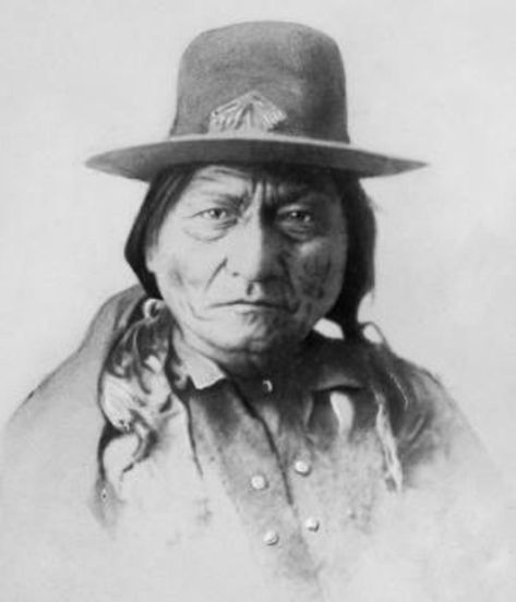 Buffalo Bulls, Sitting Bull, Native American Photos, Native American Peoples, Native American Heritage, We Are The World, Native American History, American Pride, American Heritage