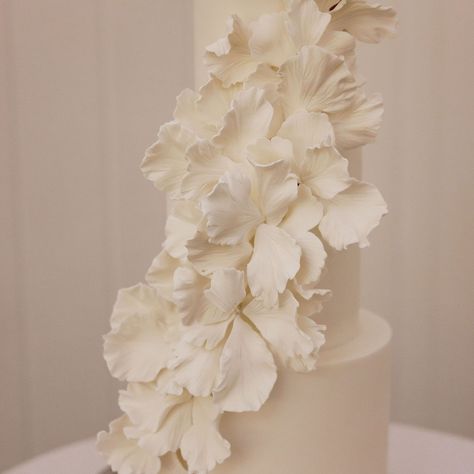 Our fave fantasy petal cascade style for Abbie & Eugene 🤍 We love working with sugar petals to create an imaginative twist on traditional sugar decorations. These are perfect for those looking to create a cake with a unique and ethereal aesthetic, making it stand out as a true work of art 🤍🤍🤍🤍🤍 Photography - @aleishaedwardsweddings Videography - @starlightproductions.au Venue - @summergroveestate Celebrant - @josephcheungweddingservices Florals - @esmefleurflorist Wedding Gown - @luvbrid... Petal Wedding Cake, Ethereal Aesthetic, Modern Wedding Cake, White Wedding Cake, Sugar Flowers, Wedding Makeup, Wedding Inspo, Wedding Gowns, Wedding Cakes