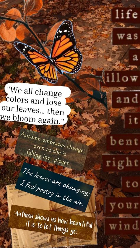 #fall #fallaesthetic #fallaestethic #autumn #autumncore #aesthetic #thoughts #fallthoughts Autumncore Aesthetic, Aesthetic Thoughts, Embrace Change, How Beautiful, Color Change, Letting Go, Affirmations, Poetry, Let It Be