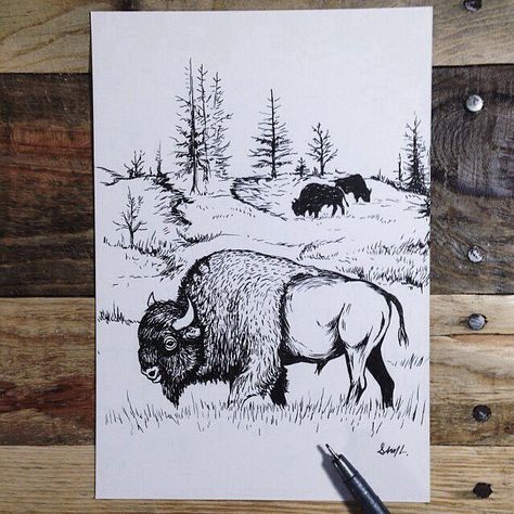 Buffalo pic. Sam Larson, Bison Art, Buffalo Art, Silkscreen Print, American West, Western Art, Native American Art, Silk Screen Printing, Wildlife Art