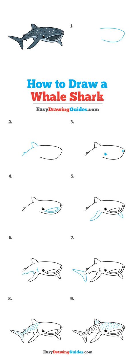 Marine Animal Doodles, How To Draw A Whale Shark Step By Step, How To Draw A Shark Step By Step, Whale Shark Drawing Easy, How To Draw A Whale Shark, Whale Shark Doodle, Blue Whale Drawing, Great White Shark Drawing, Draw A Whale