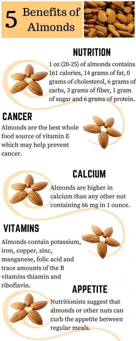 #HowProperNutritionBenefitsAHealthyLifestyle Benefits Of Almonds, Health Benefits Of Almonds, Almond Benefits, Nutrition Sportive, Baking Soda Beauty Uses, Nutrition Education, Fat Burning Foods, Food Source, Healthy Nutrition