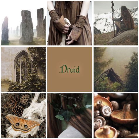 Druid moodboard Druid Witch Aesthetic, Forest Druid Aesthetic, Druid Magic Aesthetic, Druidry Aesthetic, Wildfire Druid Aesthetic, Druid Decor, Druids Aesthetic, Druid Dnd Aesthetic, Circle Of Stars Druid Aesthetic