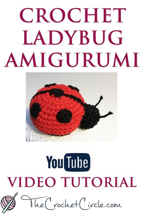 YouTube video tutorial on how to crochet an amigurumi ladybug Crochet Mini Ladybug Pattern Free, Crochet Ladybug Keychain, Crochet Ladybird Pattern Free, Ladybug Amigurumi Free Pattern, Crochet Ladybug Pattern Free, Crocheted Bugs, Stuffies Crochet, Crochet Ladybug Pattern, Crochet Mirror