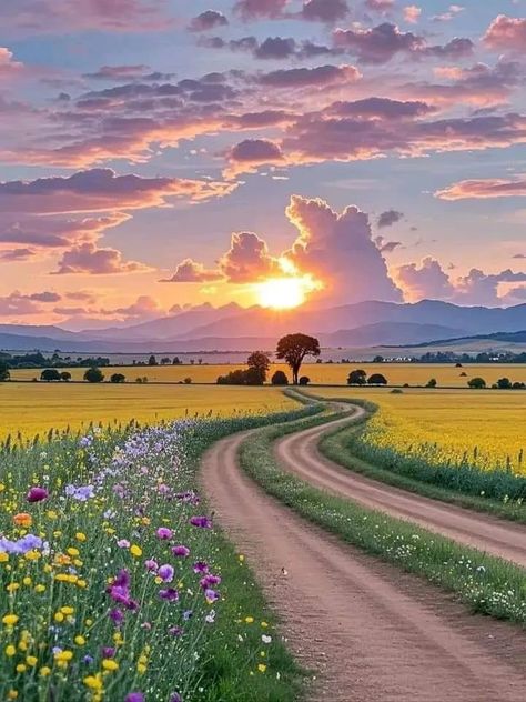 Flower Meadow Aesthetic, Aesthetic Meadow, Meadow Aesthetic, Calm In Chaos, Composition Photo, Flowers Sunset, Life In Paradise, Dreamy Aesthetic, Beautiful Nature Wallpaper Hd