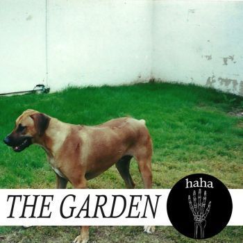 haha by The Garden.  Vinyl LP, CD. The Garden Band, Italo Disco, Diy Labels, Better Homes And Garden, Vinyl Music, Lp Albums, All Smiles, Lp Vinyl, Green Day