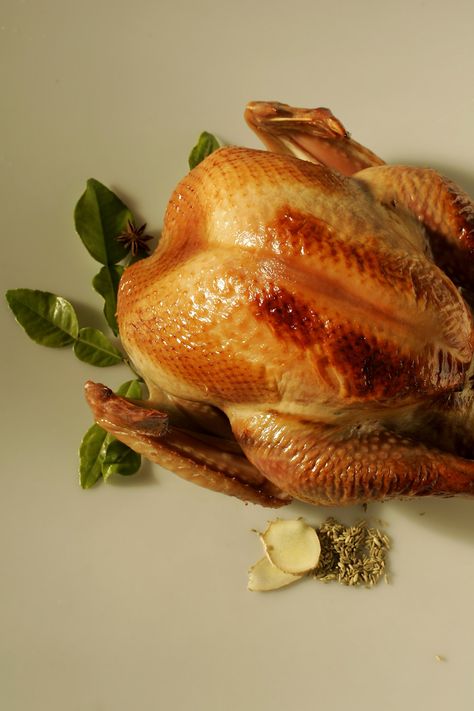 Turkey In Convection Oven, Convection Oven Turkey, Oven Turkey Recipes, Turkey Brines, Oven Turkey, Turkey Cooking Times, Convection Oven Cooking, Convection Oven Recipes, Oven Bag