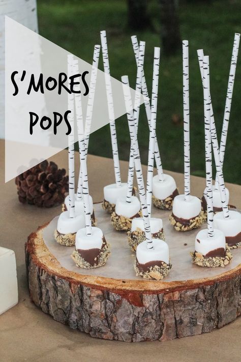 DIY S'mores Pops for a Camping Party Happy Camper Birthday Party, Camping Theme Birthday Party, Camping Theme Birthday, Birthday Camping, Glamping Birthday, Glamping Party, Food Games, Lumberjack Birthday, Camping Theme Party