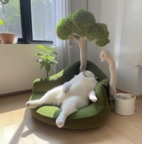 Cute Cat Furniture, Cat Accessories Products, Cat Things Products, Aesthetic Cat Stuff, Cat Room Aesthetic, Cute Cat Tower, Cute Cat Beds, Aesthetic Cat Tree, Cat Rooms