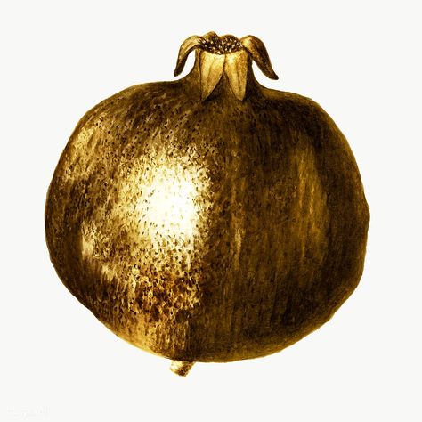 Gold pomegranate sticker design element | free image by rawpixel.com / winn Pomegranate Sticker, Golden Food, Gold Pomegranate, Golden Fruit, Gold Fruit, Luxury Food, Gold Stickers, Plant Drawing, Idea Board