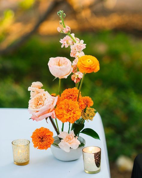 Wedding inspo for a vibrant desert wedding 🌵🌼🧡 Photographed by @meredithamadeephotography #weddingceremonies #bespokeweddings #weddingdecorationideas #destinationweddingplanners #weddingfloraldesign #outdoorweddingdecor #weddingflowersinspiration #weddingceremonydecor #weddingflowerideas #floralwedding #weddingspecialist #elegantweddings #weddingflowerinspiration #weddingfloral #tucsonwedding #vibrantwedding #orangewedding #orangeweddingflowers Flower Frog Wedding, Jungle Wedding Decor, Frog Wedding, Jungle Wedding, Tucson Wedding, Orange Wedding Flowers, Simple Wedding Decorations, Paper Rings, Wedding Flower Inspiration