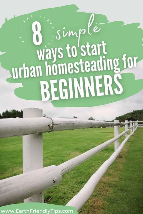 Tennessee Homestead, Homesteading Urban, Apartment Homesteading, Homesteading For Beginners, Homesteading Life, Backyard Homestead, Sustainable Homestead, Environmentally Friendly Living, Homestead Life