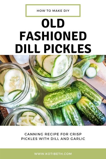 Easy Dill Pickles Canning, Dill Pickle Recipe Water Bath, How To Make Homemade Dill Pickles, One Jar Dill Pickle Recipe, Old Fashioned Pickle Recipes, Easy Canned Pickle Recipes, Dill Pickle Canning Recipe Easy, Canning Pickles Recipe Dill, Diy Dill Pickles