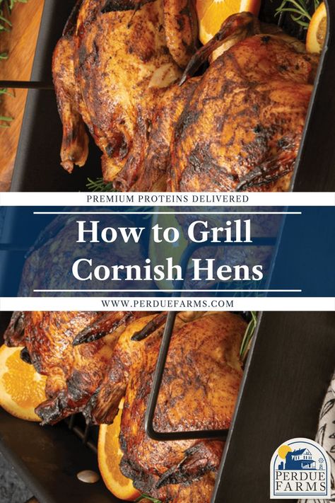 Bbq Cornish Hens, Grilled Cornish Game Hen Recipes, Cornish Hen Recipe Grilled, Cornish Hens Recipes, Bake Cornish Hen Recipe, Baked Cornish Hens, Grilled Cornish Hens, Cooking Cornish Hens, Hen Recipes