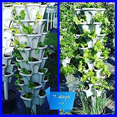 Amazon.com: 5-Tier Strawberry and Herb Garden Planter - Stackable Gardening Pots with 10 Inch Saucer (Terra-Cotta): Garden & Outdoor Garden Hanging Plants, Stackable Planters, Growing Vegetables Indoors, Herb Garden Planter, Space Garden, Planting Pots, Flower Tower, Growing Strawberries, Gardening Vegetables