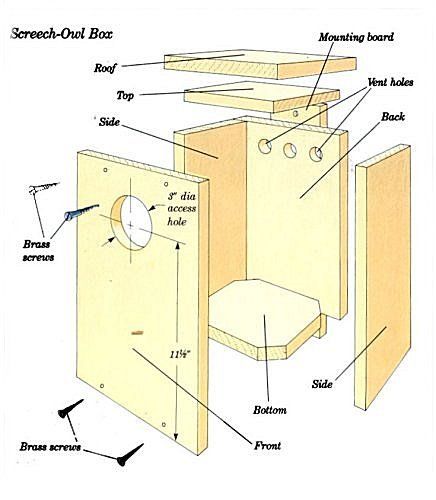 Owl Birdhouse, Owl Nest Box, Barn Birdhouse, Owl Nest, Recycled Wood Projects, Birdhouse Plans, Barn Birdhouses, Woodworking Jig Plans, Large Bird Houses