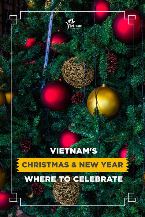 Travelling to Vietnam in December, you can catch a spark of that cosy Christmas vibe. From midnight mass in Sapa to festive fairs in Ho Chi Minh City, here’s a handy list of ideas for Christmas and New Year parties across the country. Happy Holidays! 🎊 Vietnam In December, New Year Activities, Vietnam Tourism, Australia Itinerary, Tropical Countries, New Years Activities, Christmas Vibe, Cosy Christmas, Ideas For Christmas