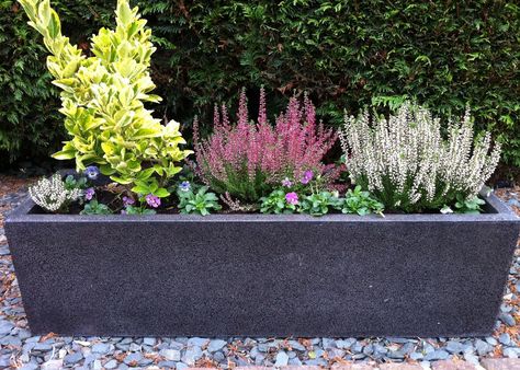 Planters | fibreglass planters, modern trough large fibreglass terrazzo effect ... Trough Planter Ideas, Easy Backyard Diy, Diy Cement Planters, Garden Troughs, Trough Planter, Large Outdoor Planters, Trough Planters, Fiberglass Planters, Vertical Gardens