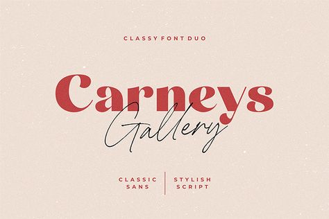 Classy Fonts, Project Presentation, Font Duo, Best Free Fonts, Signature Fonts, Uppercase And Lowercase Letters, Script Logo, Handwritten Font, Sans Serif Fonts