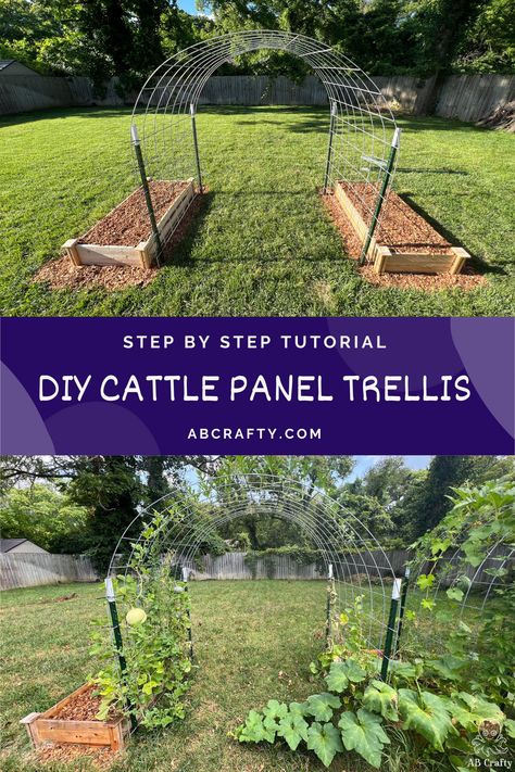 two photos of the finished cattle panel trellis and then the garden arch with plants growing on it. the title says “step by step tutorial, diy cattle panel trellis, abcrafty.com" Garden Cattle Panel Trellis, Cattle Panel Trellis Arches, Cattle Panel Arch, Diy Garden Arch, Cattle Panel Trellis, Panel Trellis, Chicken Wire Fence, Wood Raised Garden Bed, Building A Trellis