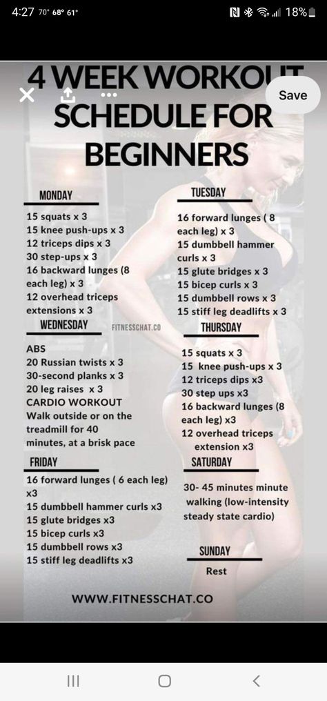 65 Best Weekly Gym Workout Plan for Women | Full-Body Workout #workoutplan #fitnessgoals #workoutroutine #fullbodyworkout #exerciseplan #weeklyworkout https://www.theworldaccordingtome.org/fitness-health/1859787_effective-weekly-gym-workouts-for-women-get-fit-feel-great/?65-best-weekly-gym-workout-plan-for-women-full-body-workout-workoutplan-fitnessgoals-workoutroutine-fullbodyworkout-exerciseplan-weeklyworkout Beginner Workout Schedule, Weight Routine, 4 Week Workout, Week Workout, Workout Routines For Beginners, 30 Day Fitness, Exercise Plan, At Home Workout Plan, Beginner Workout