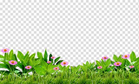 Green Background For Editing, Flower Green Screen, Png Background Green, Grass Background For Editing, Grass Png, Grass Images Pictures, Green Tree Background For Editing, Grass Background Cartoon, Grass Png Hd