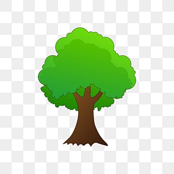 dibujos animados,Árbol simple,Árbol grande,árbol,un árbol,arboles,bosque,bosque,natural,gran árbol verde Big Oak Tree, Red Christmas Background, Illustration Tree, Tree Material, Tree Borders, Cute Tree, Bee Clipart, Cartoon Trees, English Activities For Kids