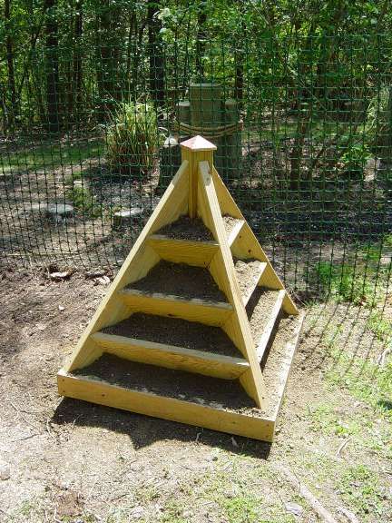 Strawberry tower filled with dirt! This is a great way contain the strawberries because they like to spread everywhere!! Strawberry Pyramid, Strawberry Planters Diy, Pyramid Planter, Strawberry Planter, Strawberry Tower, Education Preschool, Strawberry Planters, Strawberry Plants, Large Garden