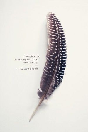 feather, quote © sirka hiltner photography | http://society6.com ... Veer Tattoo, Bird Stencils, Feather Quotes, Feather Magic, Caption Ig, Feather Meaning, Feather Bird, Imagination Art, Angel Quotes