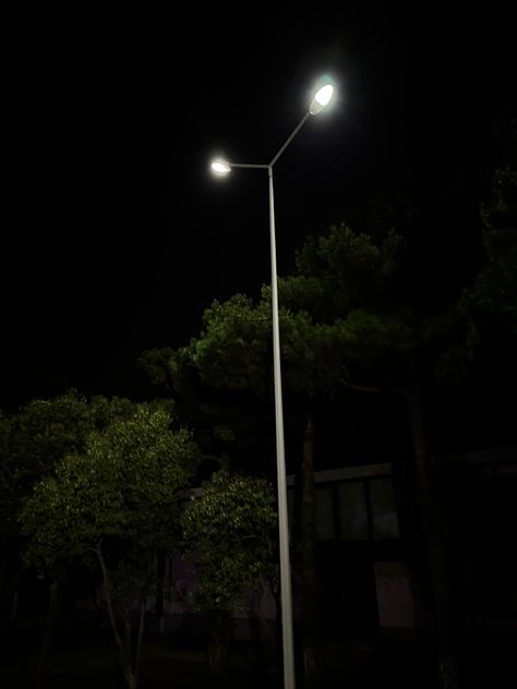 Night time street light woods forest Night Lamp Aesthetic, Street Lights Aesthetic, Light Wood Wallpaper, Street Lights At Night, Woods Wallpaper, Leaves Photography, Night Street, Night Background, Nature Instagram