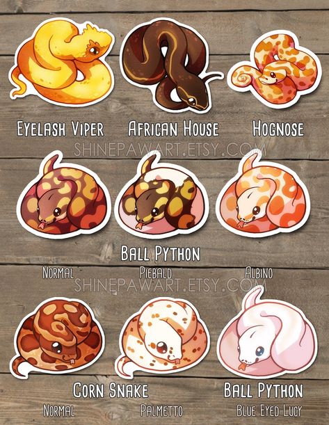 Snakes You Can Have As Pets, Hognose Snake Drawing, Corn Snake Drawing, Hognose Snake Tattoo, Cute Hognose Snake, Snake Hognose, Corn Snake Tattoo, African House Snake, Cute Snake Tattoo