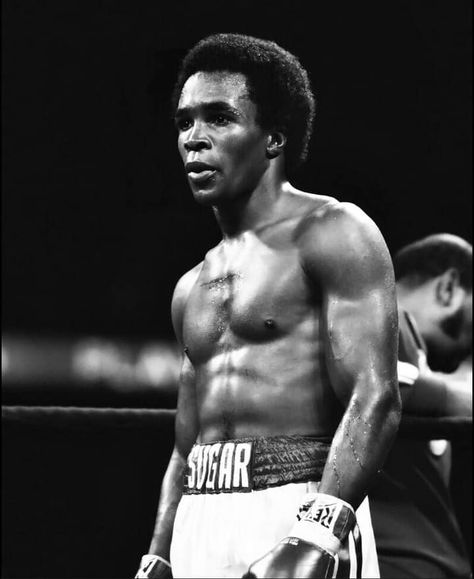 Sugar Ray Leonard Wallpaper, Sugar Ray Leonard, Ray Leonard, Martial Arts Workout, Martial Arts, Boxing, Quick Saves