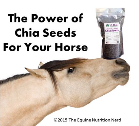 Horse Nutrition, Equine Nutrition, Healthy Horses, Horse Food, Horse Supplements, Horse Care Tips, Horse Training Tips, Horse Feed, Horse Treats