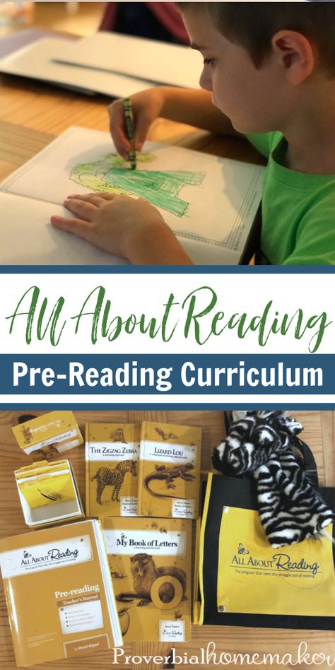 Curious about the All About Reading Pre-Reading curriculum? Find out how this mama of many used it with two kids at the same time. All About Reading Pre Reading, Home School Organization, Lego Science, Letter Sound Recognition, All About Reading, Science Models, Dad Goals, Read Aloud Activities, Homeschool Supplies