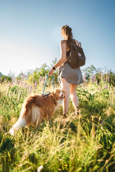 Dog Adventure Aesthetic, Backpacking Dog, Animal Crossing Movie, Dog Hiking, Camping With Dogs Photography, Hiking With Dog, Forever Puppy, Hiking With Dog Photography, Nova Scotia Duck Tolling Retriever