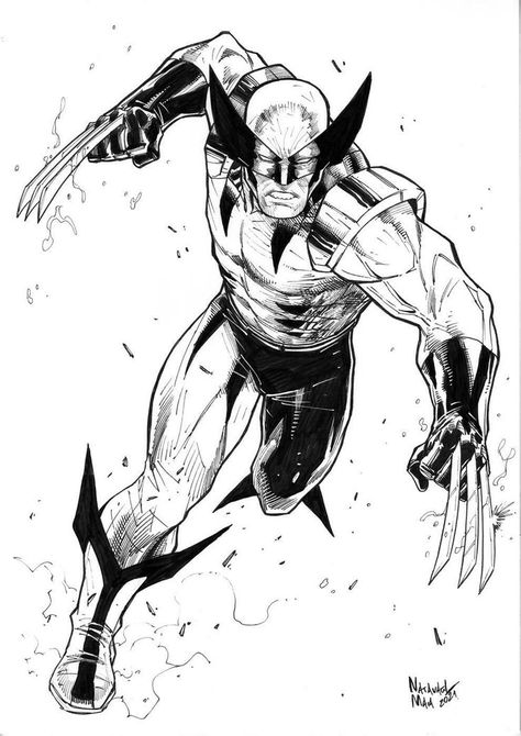 Wolverine Black And White, Werewolf Ideas, Wolverine Sketch, Wolverine Tattoo, Wolverine Comic Art, Superhero Sketches, Marvel Mutants, Hulk Artwork, Wolverine Artwork