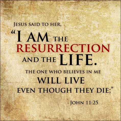 John 11:25 (NIV) - Jesus said to her, “I am the resurrection and the life. The one who believes in Me will live, even though they die; Miracles In The Bible, John 11 25, Miracles Of Jesus, Jesus Said, The Resurrection, Jesus Resurrection, For God So Loved The World, Praise God, Spiritual Inspiration