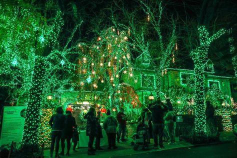 Halloween Decorations Lights, Roof Fence, Dyker Heights, Green Christmas Lights, Green String Lights, Halloween String Lights, Green Led Lights, Visiting Nyc, Outdoor Bedroom