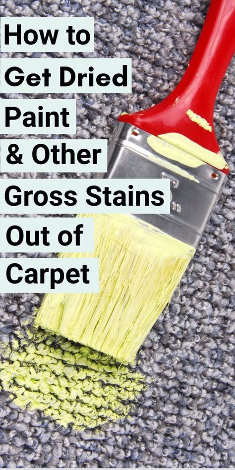 How to Get Dried Paint Out of Carpet and Other Crazy Stains | Stain remover carpet, Dry carpet cleaning, Cleaning carpet stains Tough Carpet Stain Remover, Paint Out Of Carpet, Cat Vomit, Cleaning Carpet Stains, Stain Remover Carpet, Dry Carpet Cleaning, Easy Cleaning Hacks, Carpet Cleaning Hacks, Diy Carpet