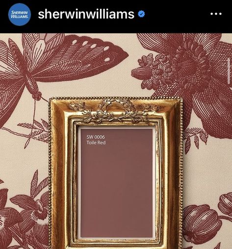 Sw Antique Red, Sherwin Williams Toile Red, Sw Spiced Cider Paint, Reddened Earth Sherwin Williams Bedroom, Sherwin Williams Carnelian, Toile Red Sherwin Williams, Arresting Auburn Sherwin Williams, Moody Sherwin Williams Paint Colors, Red Trim Interior