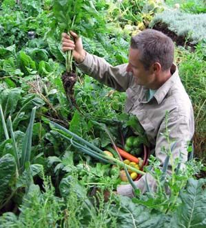 Vegetables Growing, Sustainable Gardening, Inside Plants, Food Production, Garden Veggies, Community Garden, Simple Organic, Food Garden, Vegetable Gardening