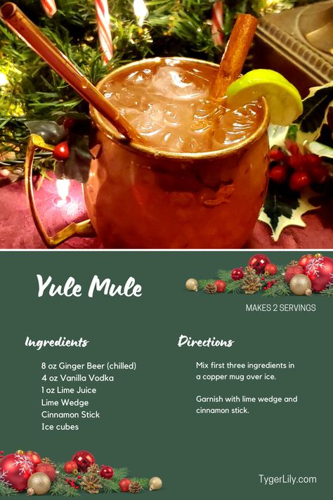 Yule Mule Holiday Cocktails, Yule Cocktails, Yule Drinks, Yuletide Recipes, Yule Mule, Chill Mix, Easy Christmas Treats, Vanilla Vodka, Copper Mugs