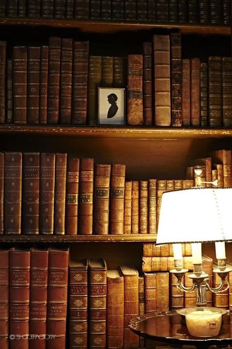 ♔ Library Dream Library, Beautiful Library, Ivy House, Law Books, Home Libraries, World Of Books, Reading Room, Home Library, Book Shelf