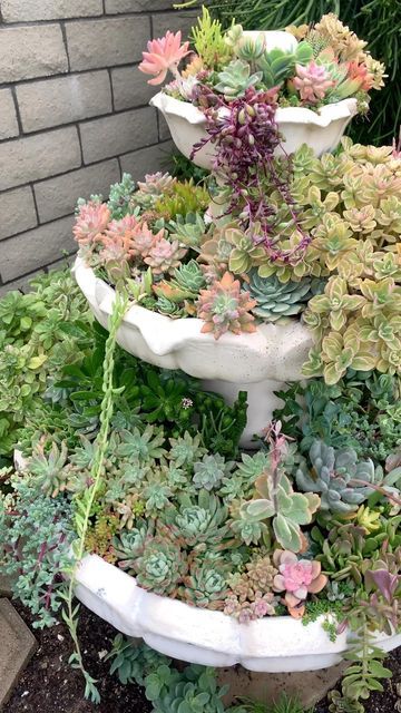 Fountain Succulent Garden, Succulent Waterfall, Suculant Garden, Greenhouse Planters, Succulent Fountain, Serene Backyard, Concrete Fountains, Succulent Display, Rock Garden Landscaping