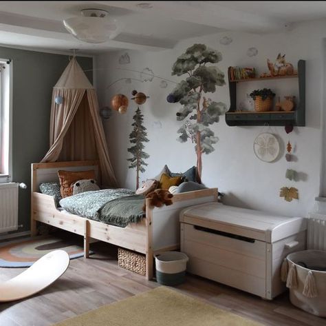 Woodland Toddler Room, Woodland Kids Room, Zimmer Diy, Toddler Boy Room Decor, Kids Rooms Inspo, Big Girl Bedrooms, Kids Bedroom Inspiration, Toddler Boys Room, Nursery Room Inspiration