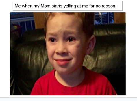 Me when my Mom starts yelling at me for no reason... Happy Birthday Boss Lady, Happy Birthday Funny Cats, Happy Birthday Boss, Funny Happy Birthday Meme, Boss Humor, College Memes, Fitness Memes, Boss Birthday, Gym Crush