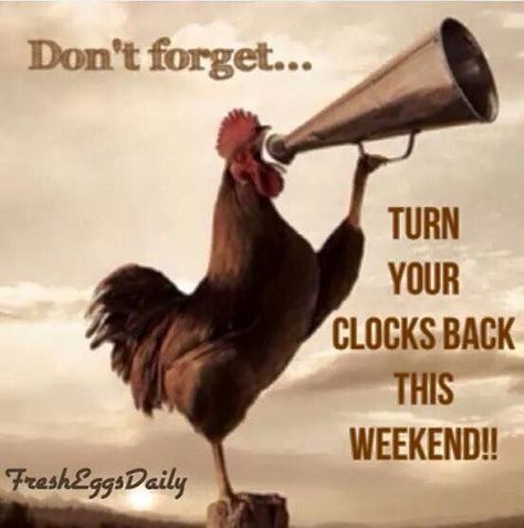 Daylight Savings Fall Back, Fall Back Time Change, Turn Clocks Back, Fall Back Time, Daylight Savings Time Humor, Spring Forward Fall Back, Humor Whatsapp, Clocks Fall Back, Church Sign Sayings